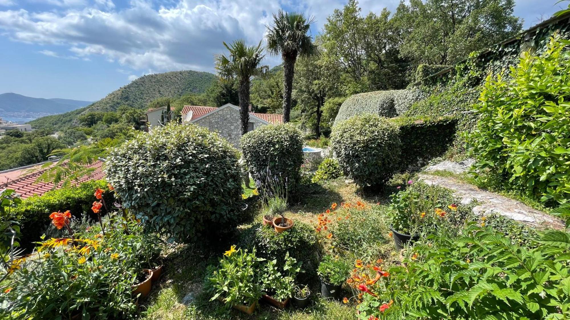 Mountains Villa Near Budva Exteriör bild